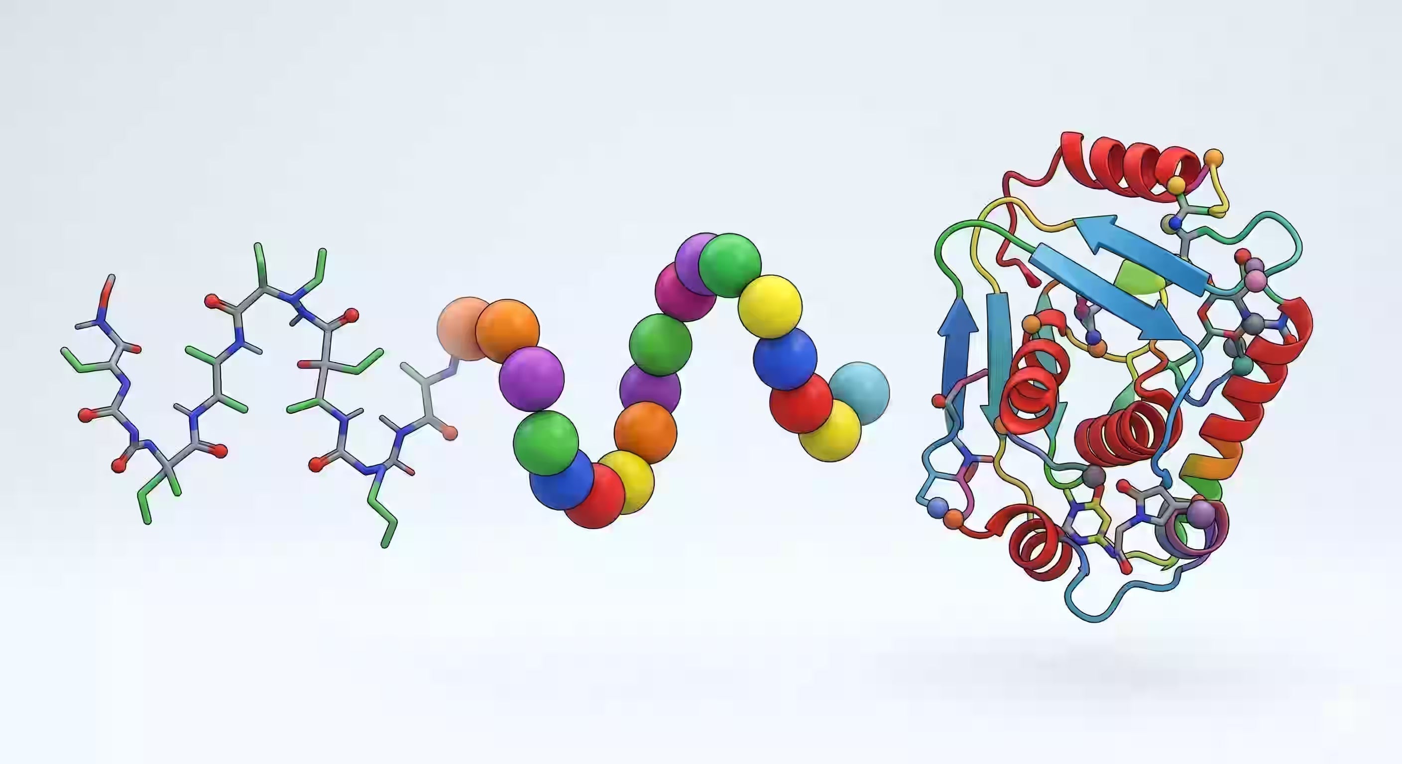 Mykoprotein enthält alle essenziellen Aminosäuren – wie hochwertig ist Pilzprotein wirklich?
